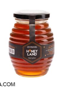 Mật ong rừng Tây Nguyên nguyên chất HONEYLAND 500G