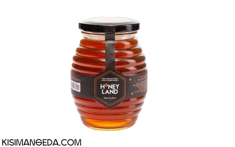 Mật ong rừng Tây Nguyên nguyên chất HONEYLAND 500G