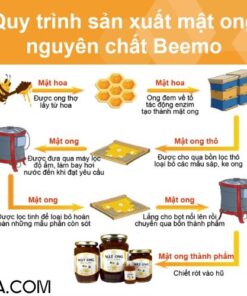 Mật ong nguyên chất hoa cà phê Beemo