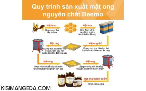 Mật ong nguyên chất hoa cà phê Beemo